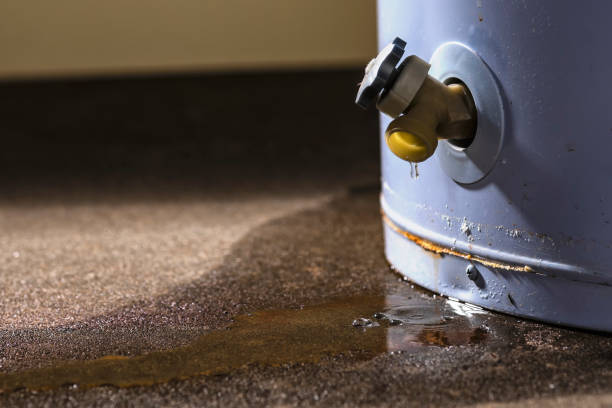 Best Fire Damage Restoration  in Keeler Farm, NM