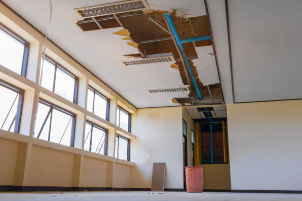 Best Flood restoration services  in Keeler Farm, NM