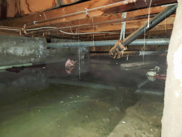 Best Sewage cleanup and water damage restoration  in Keeler Farm, NM