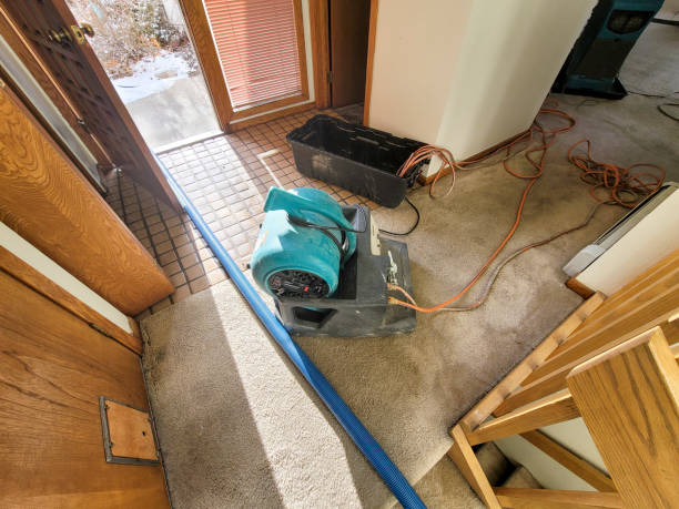 Professional Water damage restoration in Keeler Farm, NM