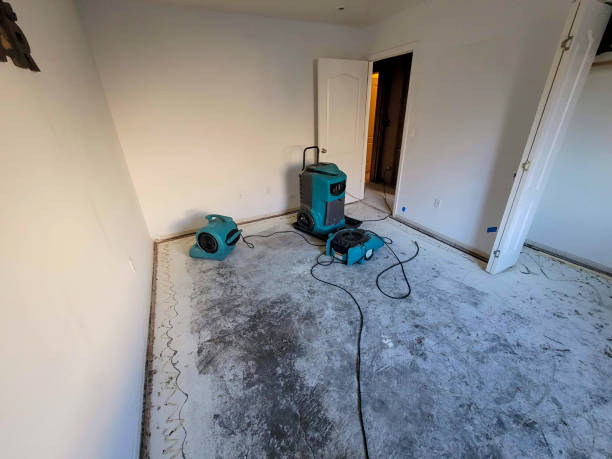 Water damage restoration mold remediation in Keeler Farm, NM