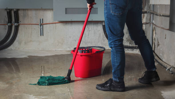 Best Ceiling water damage repair  in Keeler Farm, NM
