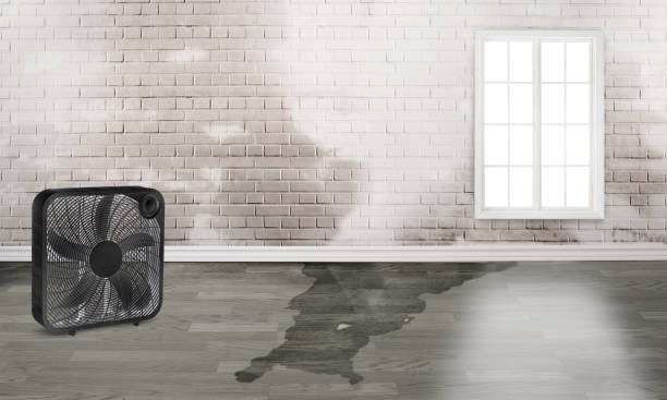 Best Commercial water damage restoration  in Keeler Farm, NM