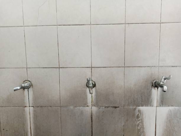Best Carpet water damage restoration  in Keeler Farm, NM