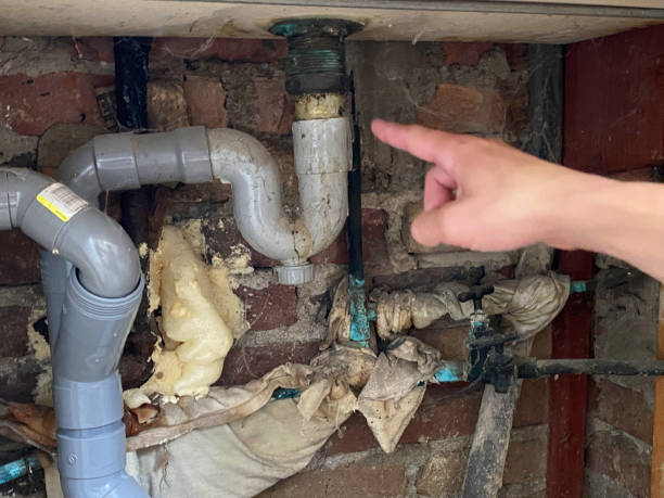 Best Flood damage cleanup  in Keeler Farm, NM